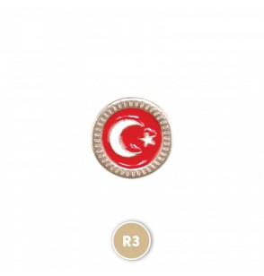R3 Sarı Rozet